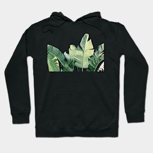 Watercolor tropical leaves Hoodie